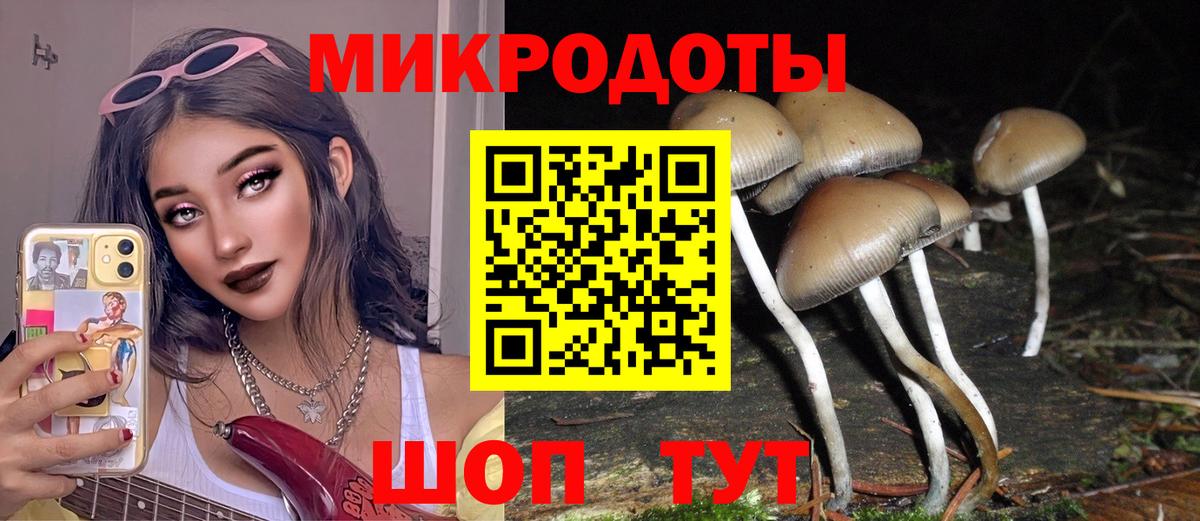 Псилоцибиновые грибы мухоморы  Галлюциногенные грибы прущие грибы  Урюпинск  Вход с VPN 